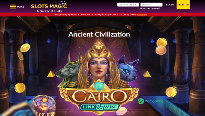 Massive Library of Entertainment Options